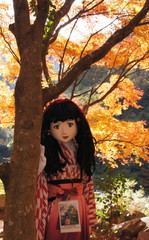 2014_1119_130614AAa.jpg