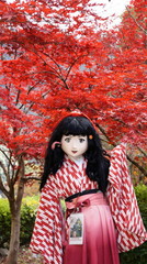 2014_1119_132104AAa.jpg