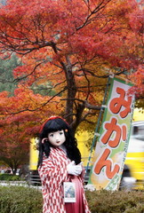 2014_1119_141552AAa.jpg