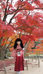 2014_1119_152624AAa.jpg