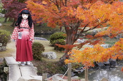2014_1119_152844AAa.jpg