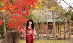 2014_1119_154542AAa.jpg