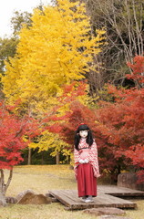 2014_1119_154714AAa.jpg