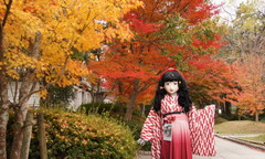 2014_1119_164510AAa.jpg