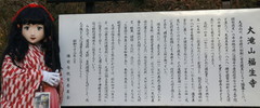 2014_1127_152137AAa.jpg