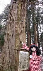 2014_1202_160246AAa.jpg