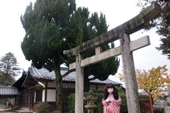 2014_1204_163324AAa.jpg