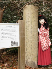 2014_1218_131844AAa.jpg
