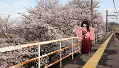 2015_0405_162007AAa.jpg