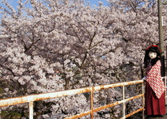 2015_0405_162059AAa.jpg