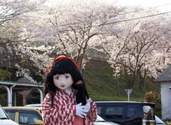2015_0405_163015AAa.jpg