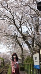 2015_0409_154910AAa.jpg