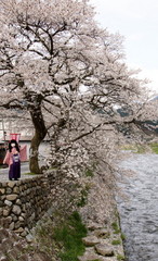 2015_0414_144010AAa.jpg