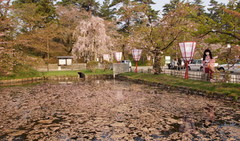 2015_0429_065312AAa.jpg