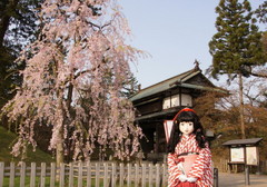 2015_0429_065606AAa.jpg