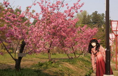 2015_0429_070424AAa.jpg