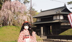 2015_0429_073910AAa.jpg