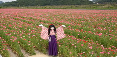 2015_0511_140628AAa.jpg