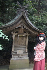 2015_0607_103136ABa.jpg