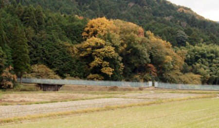 2015_1106_164632AAa.jpg