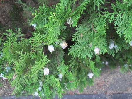 2019_1030_152530AAa.JPG
