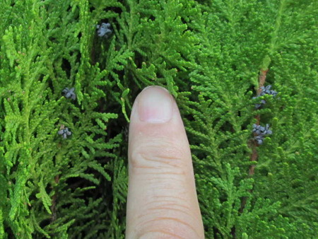 2019_1030_152646AAa.JPG