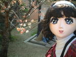 ???y??2007_0321AI_a.JPG