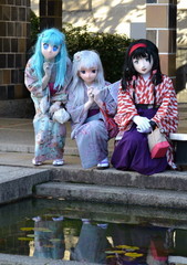 小町_2015_1115_1437AAa.jpg