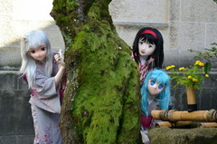 小町_2015_1115_143828AAa.jpg