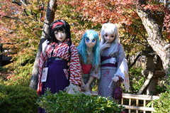 小町_2015_1115_144032AAa.jpg