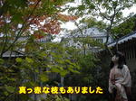 Kif_0536a.jpg