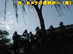 Kif_0579a.jpg