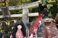 anjyu_2014_0302_144413AAa.jpg