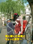 sm1029_138a.jpg