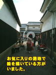 sm1029_174a.jpg