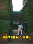 sm1029_213a.jpg