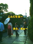 sm1029_222a.jpg
