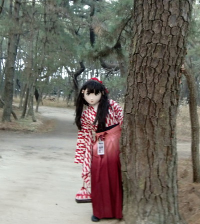 suzu2011_0204_173540AAa.jpg