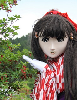 yasiro_2011_0514_131753AAa.jpg