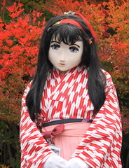 yasiro_2012_1102_135516AAa.jpg