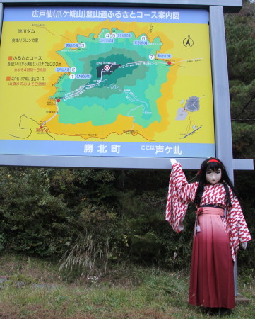yasiro_2012_1102_161201AAa.jpg